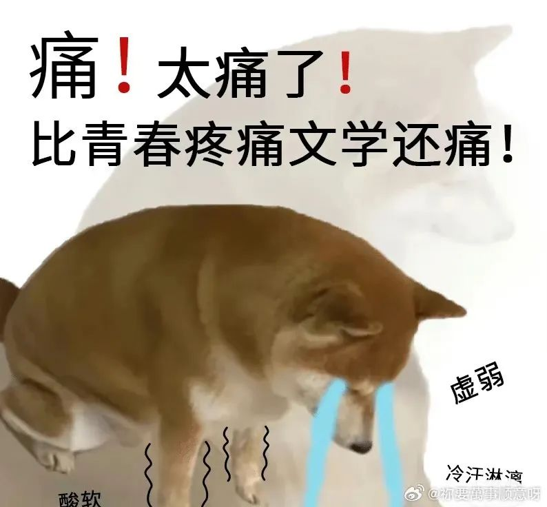 青春疼痛文学.png